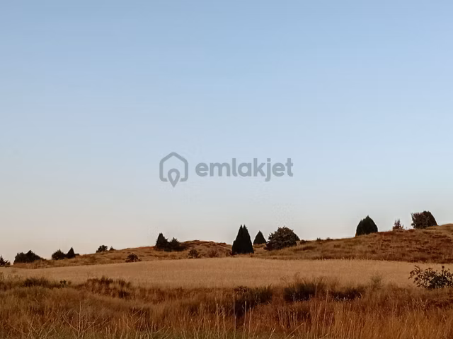 Karaahmet Mahallesi 1