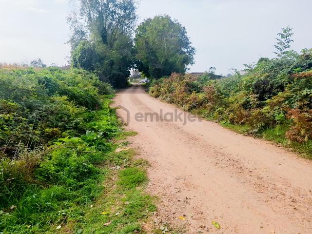 İlyaslarda 1210 M2 Satılık Yatırıma Ve Tarıma Uygun Tarla 1