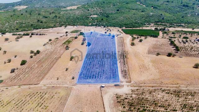Eğlenhoca Aşağı Ovacık Ta 13.500 M2 Tarım İmarlı Arazi