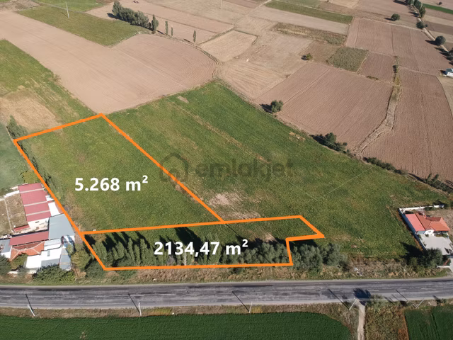 İlbey / Şuhut - Karaadilli Ana Yolunda 7.402 M² Tarla 1