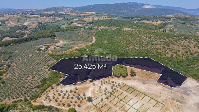 Caferli Köyü'nde Full Deniz Manzaralı Yatırımlık Arazi 1