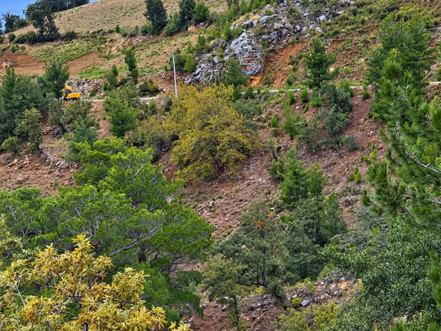 Yeniköy Mahallesi Avokado Ekimine Uygun 12.700m2 Tarla 1