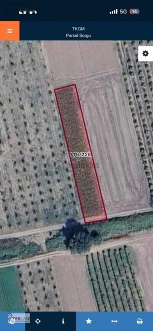 Pamukova Çihadiyede 1005 M2 Yatırımlık Tarla 1