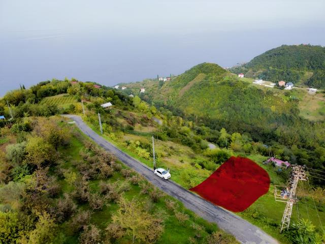 Trabzon Mersinde Deniz Manzaralı Arazi 1