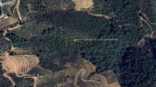Alanya Çamlıca Köyü Satılık 12.000 M2 Müstakil Tapulu Tarla 1