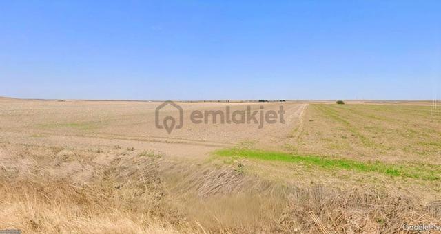 Weew'den Çorlu Seymen’de 15 Dönüm Satılık Tarla – Tek Tapu, Kadastro Yollu 1