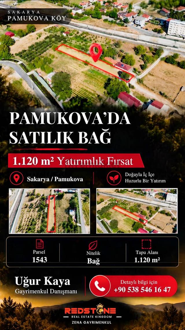 Pamukova Yenice Mahallesinde Yola Cepheli Müstakil Tapulu Arazi 1