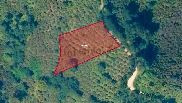 Ordu Hekimoğlu'ndan Perşembe Beylide Satılık 2500 M2 Bahçe 1