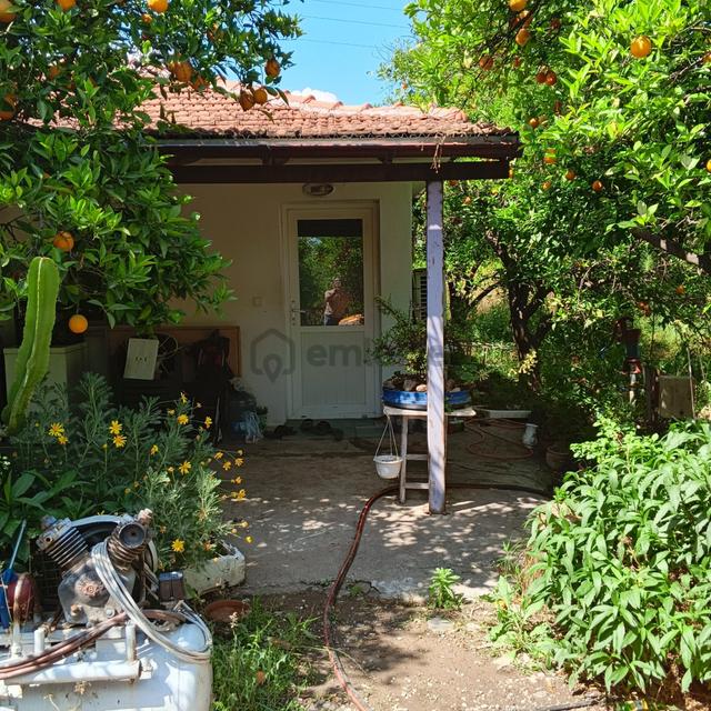 Ortaca Dikmekavak'ta 10.000 M² Satılık Bağ Ve Bahçe 1
