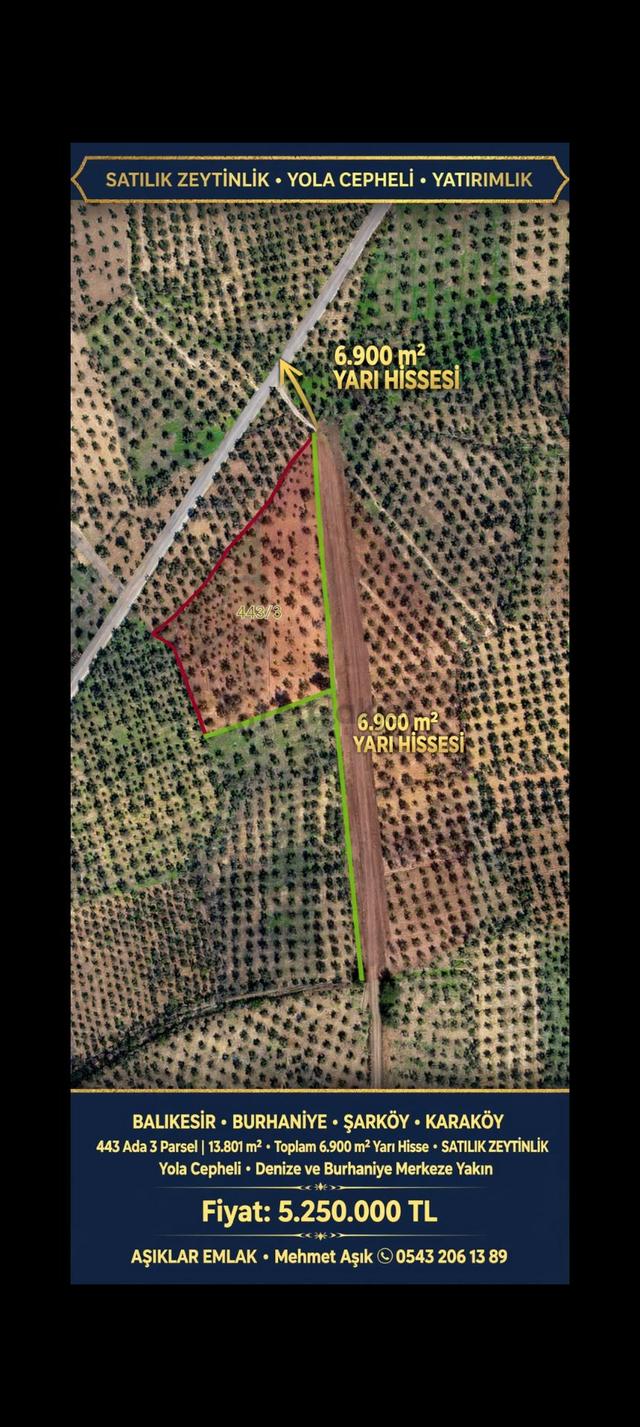 Balıkesir Burhaniye Şarköy Karaköy'de Yolu Olan 6.900m² Satılık Yarı Hisseli Zeytinlik 1