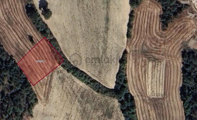 Rw/detay | Bolu Göynük Karacalarda 1.753 M² Tarla Fırsatı 1