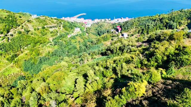 Mabel'den Akçaabat Mersin'de Satılık Arazi 1