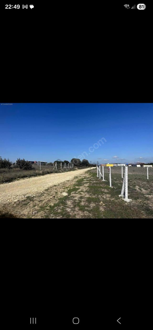 Kaçmaz Fırsat