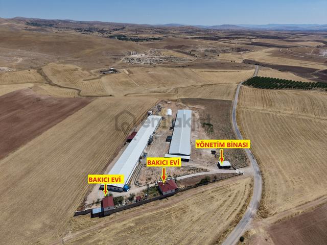 Merkez Altınkuşak'ta Yüksek Getirili Tavuk Çiftliği Tesisi 1