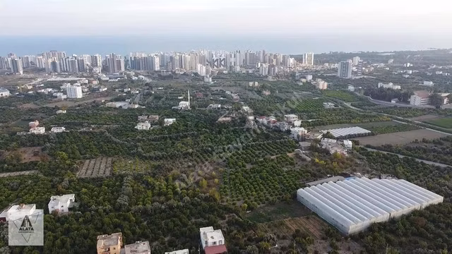 Arpaçbahşiş'de Uygulama Geçmiş Villa İmarlı Arsa 1