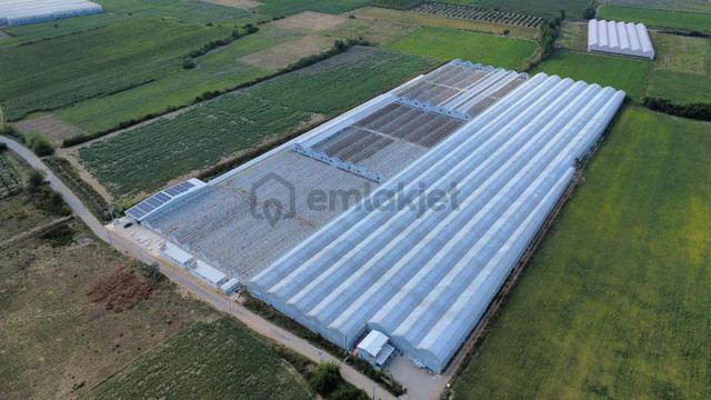 Ilıca Yeniköy'de 26 Dönüm Yatırımlık Tarla-peşin Kira Avantajlı 1