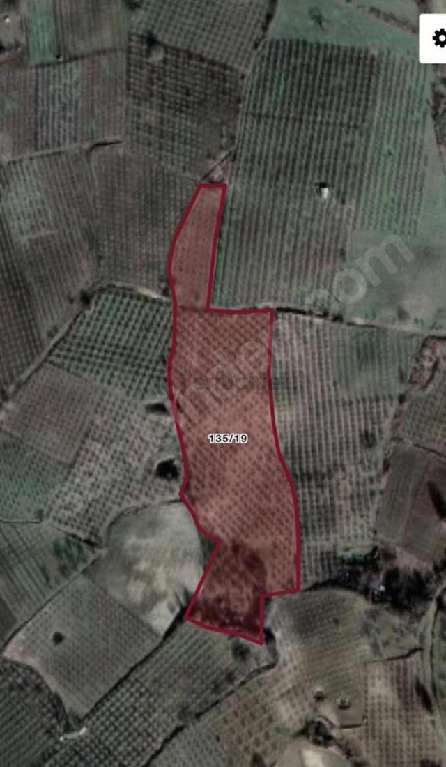 İnegöl’e 5 Km, 700 Ağaçlı Kısa Süreliğine Kupon Elma Bahçesi 1