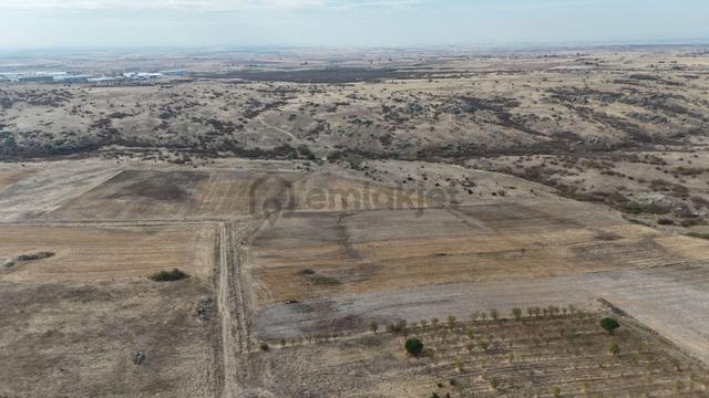 Edirne Lalapaşa Sarıdanişment Satılık 57 Dönüm Tarla 1