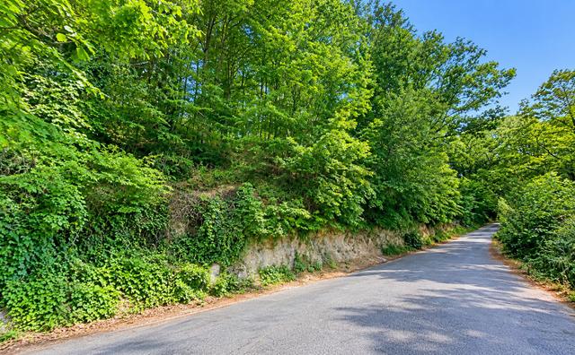 Beykoz Örnekköy'de Acarkent'e Komşu 751 M² Müstakil Tapulu Arsa 1