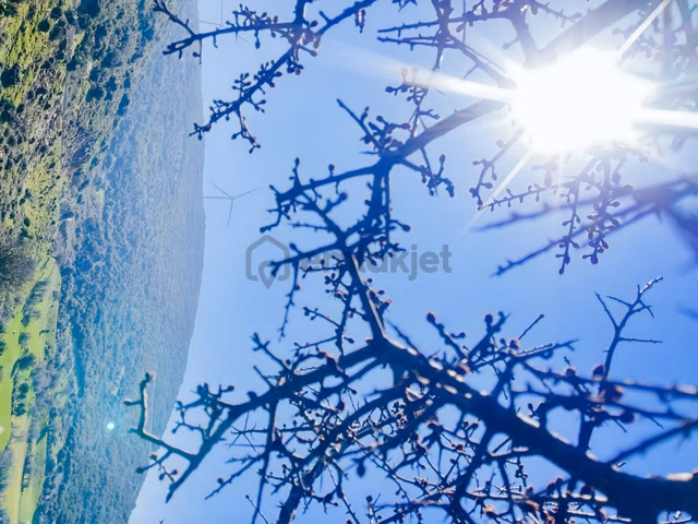 Karaburun Saip Manastır Mevkiinde 4.040 M² Yatırım Fırsatı