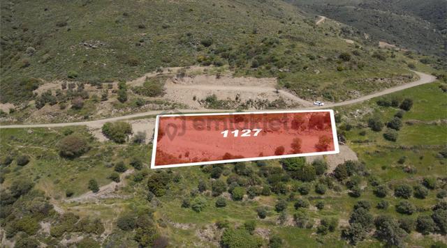 Karaburun Sarpıncıkta Deniz Manzaralı 2.281 M² Satılık Tarla