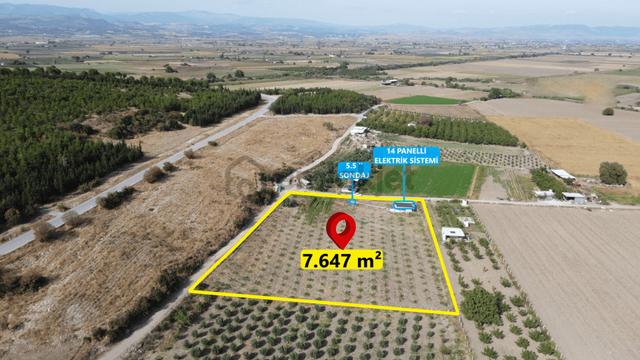 Bergama Kaşıkçı’da Konteyner Evli, Sulama Sistemli Satılık Zeytinlik 1
