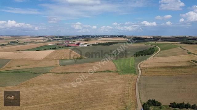 Tekirdağ Marmaraereğlisi 305m 1