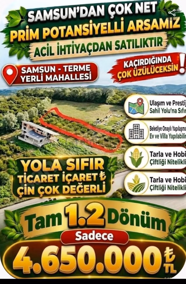 Sahibinden Karadeniz Sahil Yoluna Sıfır 1200 M2 Satılık Arsa 1
