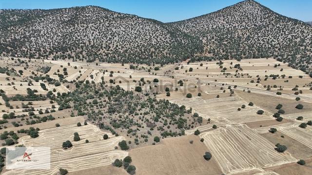 Asfalt Yola Yakın 985 M² Müstakil Tarla! Güneysınır Kurukavak'ta 1