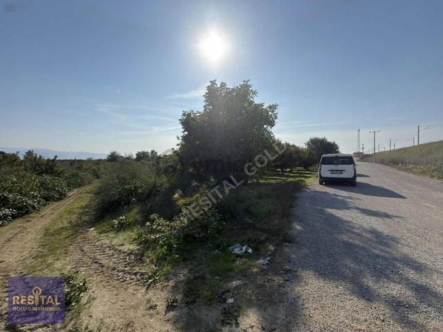 Bursa Osmangazi Dereçavuşta Satılık 1.265 M² Tarla 1