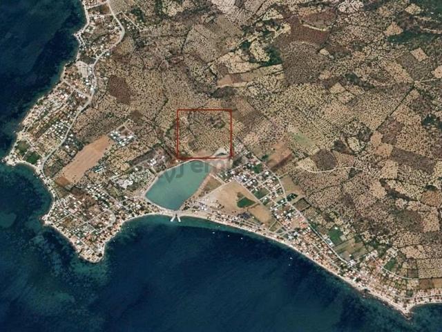 Coşkun Emlaktan Şakranda Satılık İmarlı Villa Arsası 1
