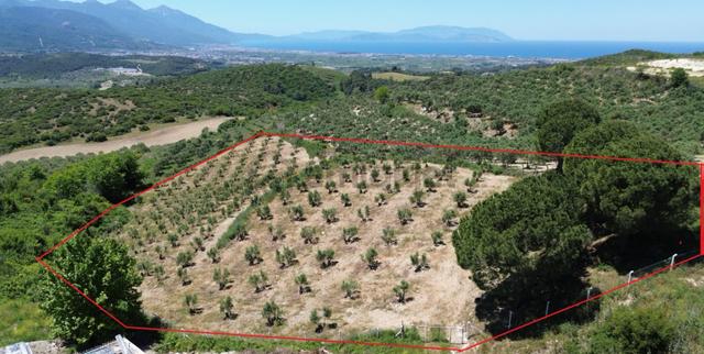 Kuşadası'nda, İmar Sınırında,deniz Manzaralı,satılık Arazi 1