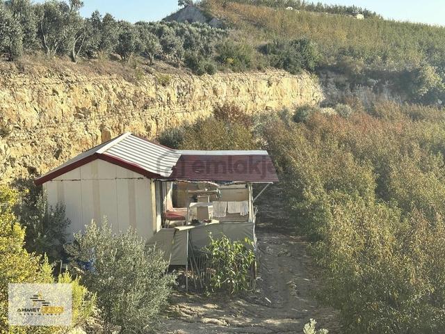 Ahmet Kara'dan İhsaniye(bağcılar) Mah.de Satılık 28 Dönüm Bahçe 1