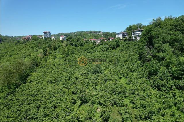 Araklı Devlet Hastanesi Yanında Kat Karşılığı Arsa 1