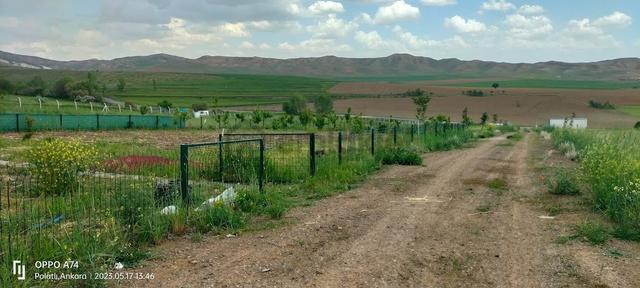 Polatlı Hacıtuğrul Satılık 1000 M2 Hobi Bahçesi 1