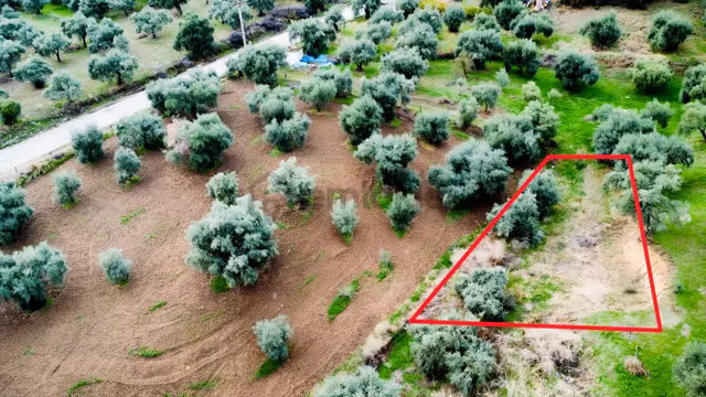 Aydın Efeler Çayyüzü Mahallesinde Satılık 250 M² Hobilik Arazi 1
