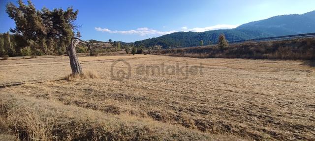 Fethiye Yoluna Sıfır 1820 M2 Yerleşime Sıfır Tarla 1