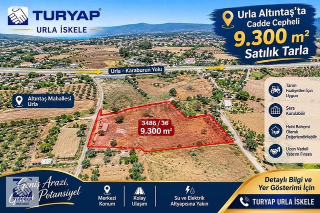Urla Altıntaş'ta Ana Yola Yakın, Geniş Cepheli Satılık Tarla 1