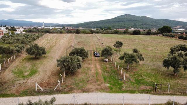 Philsa Caddesine Yakın Konumda Yolu Olan Ulaşımı Kolay 6446m² 1