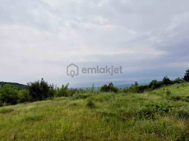 Yeniköye Yakın 11535 M2 Çok Güzel Konumda Tarla 1