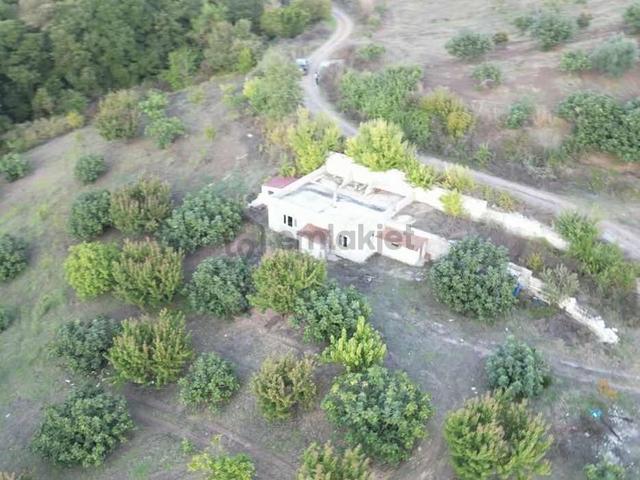 Selçukgazi 7.030 M² Evli Ve Su Kuyulu Fırsat Satılık Tarla 1