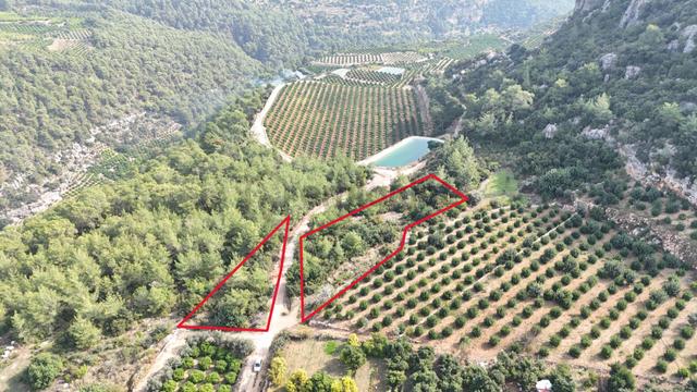 Gücüş Sarılar Mevkii Satılık 2 Adet Tarla 710+1444 M2 1