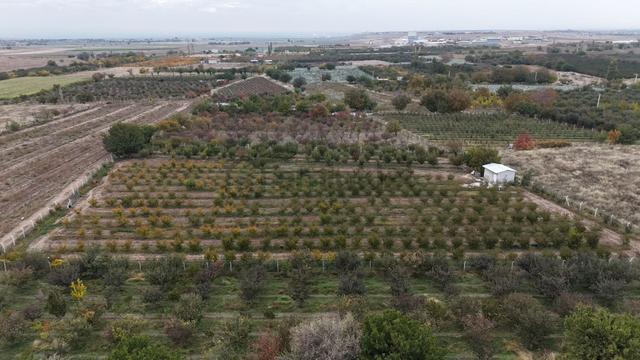 Sazlıca Yeni Mah. 5438 M2 Kurulu Satılık Bahçe , Cm Emlaktan 1