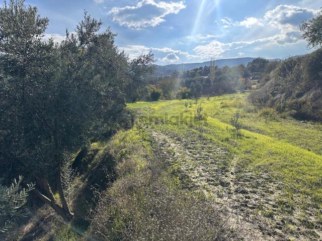 Muğla Menteşe Esençay'da 1.777m² Satılık Tarla 1
