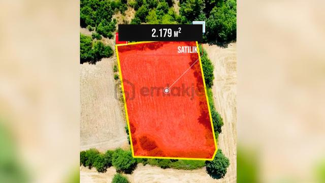 Muğla Menteşe Doğanköy'de 2.179m² Satılık Tarla 1