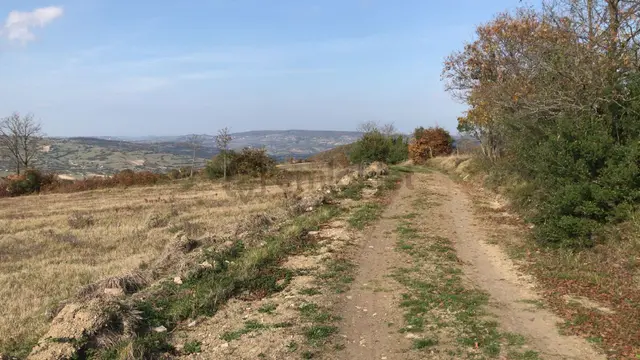 Kılıcoglu Emlaktan Kubuzcu Da Satılık Super Arazı 5