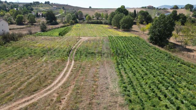 Kocaeli Karamürsel Valideköprü 10.433 M² Yatırımlık Konut İmarlı Parsel 4