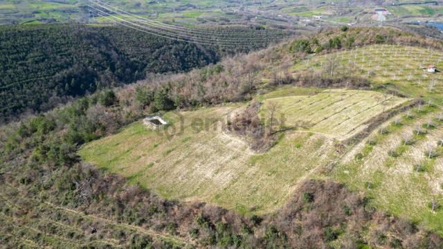 Kocaeli Karamürsel Çamdibi Satılık 5900 M2 Kiraz Bahçesi 5