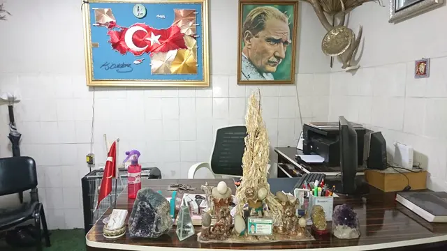 Göllüce Emlak