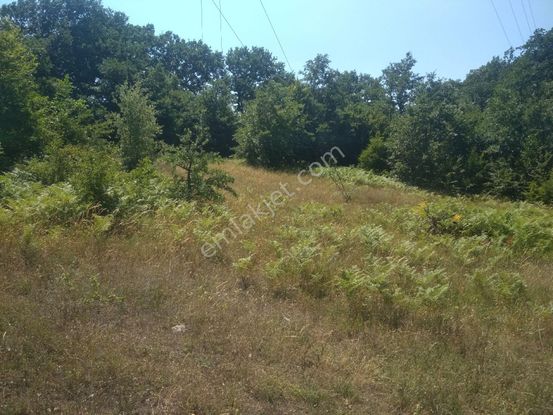 Sahibinden Satılık Tarla